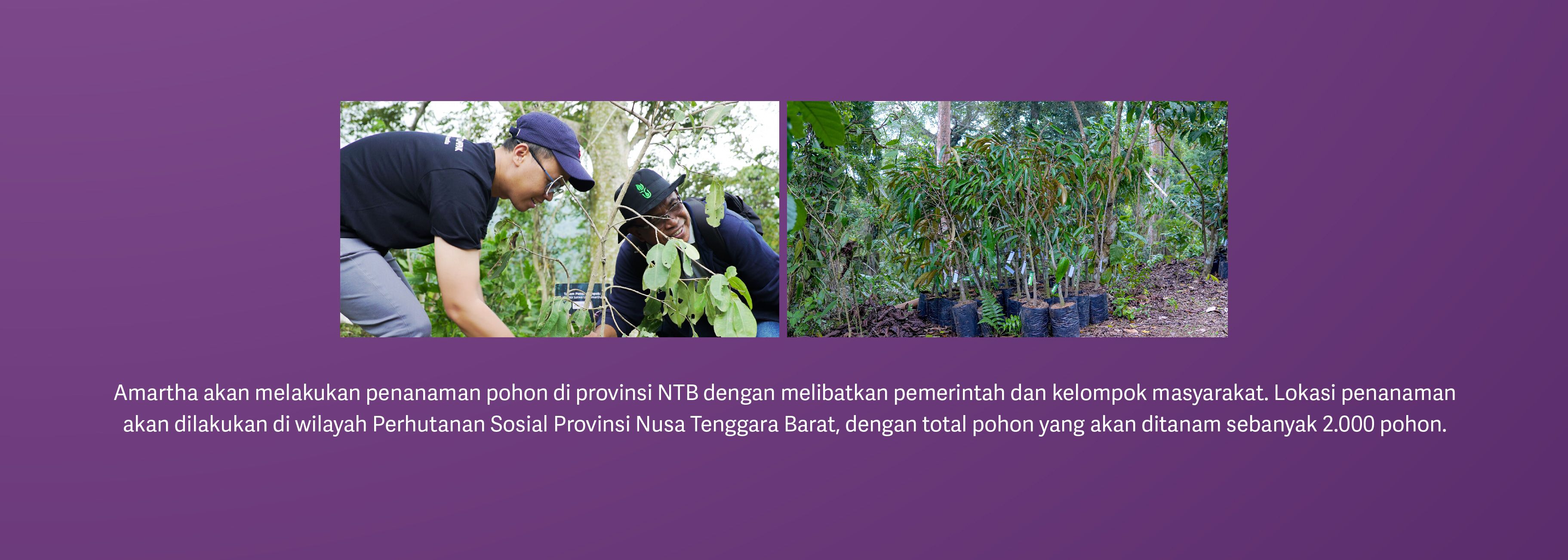KV Newsletter Impact Okt 2024-08.jpg